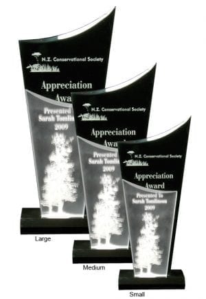 Alternative view of Black Torch Award