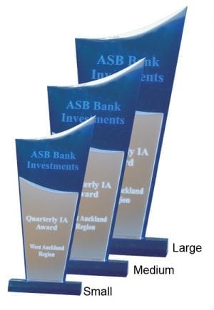 Alternative view of Blue Torch Award