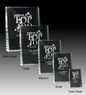 Alternative view of Crystal Ice Award