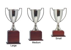 Alternative view of Laurel Trophy Cup