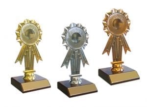 Alternative view of Rosette Holder - Rugby