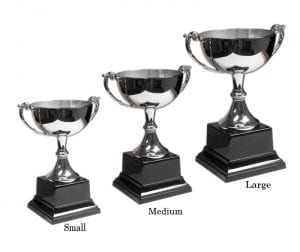 Wide Bowl Mini Trophy