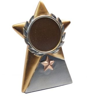 Gold Star Award - Hockey
