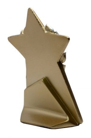 Alternative view of Gold Star Award - Hockey
