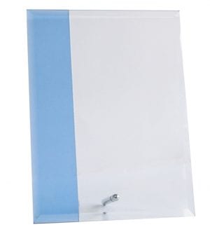 Alternative view of Rivera Blue Award