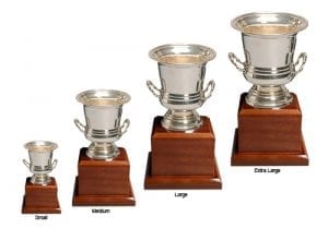 Alternative view of Ashton Trophy Cup - Wood Base