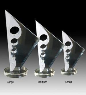 Alternative view of Distinction Award