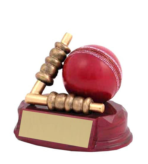 Cricket Ball & Bails