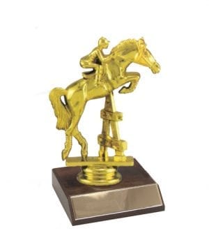 Horse Jumping Trophy & Base