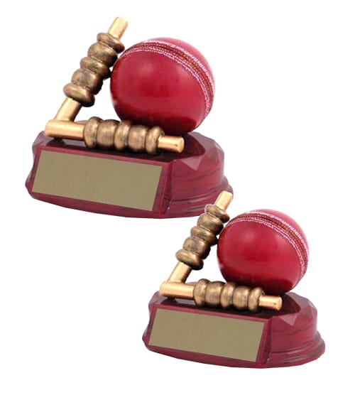 Cricket Ball & Bails - Image 2