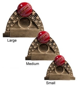 Alternative view of Cricket Ball & Stars