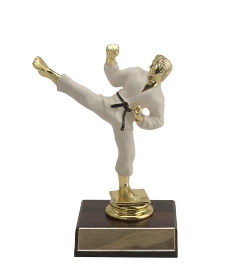 Karate - Male Colour & Base