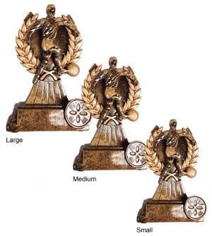 Alternative view of Football Action Award