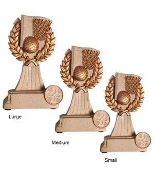 Alternative view of Netball Action Trophy