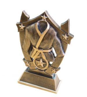 Martial Arts Stars Award