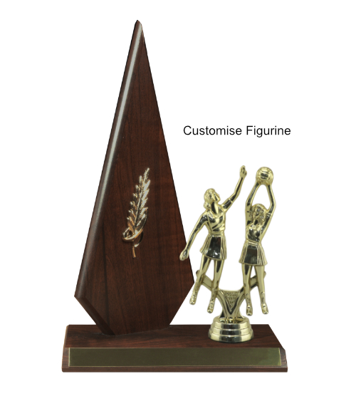 Arrow Range - Netball