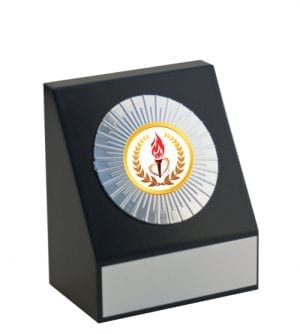 Dayton Award - Football