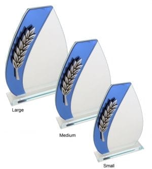 Alternative view of Rayona Glass Award