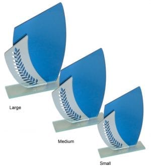 Alternative view of Arabell Glass Award