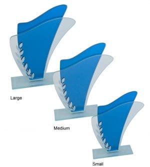 Alternative view of Eden Glass Award