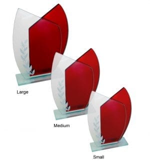 Alternative view of Red Tulip Glass Award