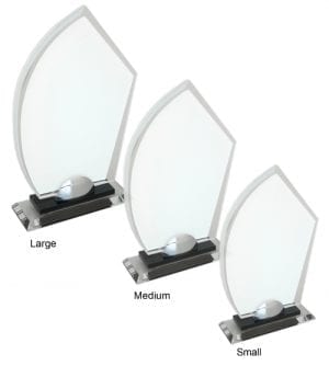 Alternative view of Castelli Award