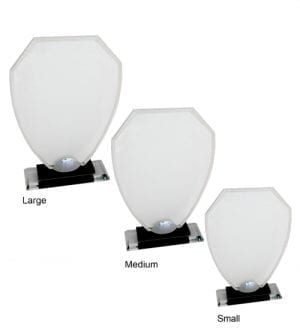 Alternative view of Serena Glass Award