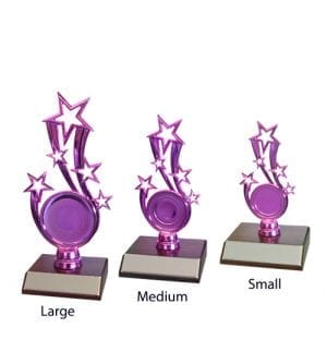 Alternative view of Pink Stars Holder - Rugby