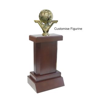 Maraetai Trophy - Netball