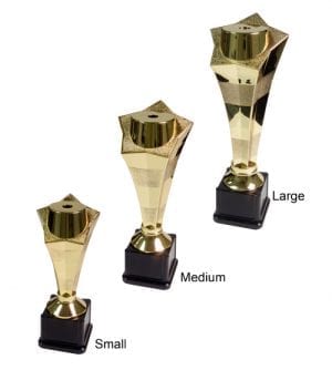 Alternative view of Gold Star Pedestal - Rugby