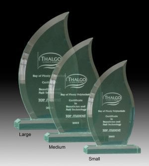 Alternative view of Beveled Flame Award