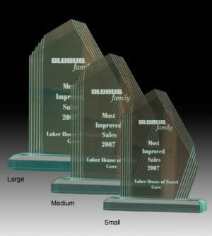 Alternative view of Fox Glacier Award