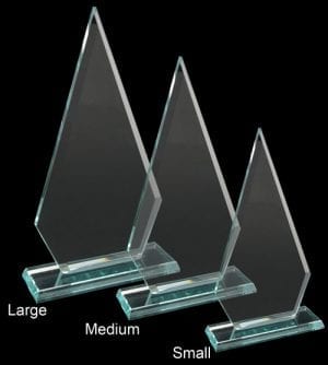 Alternative view of Trilliant Glass Award