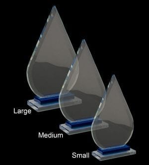 Alternative view of Duke Glass Award