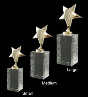 Alternative view of Ariel-Gold Glass Award