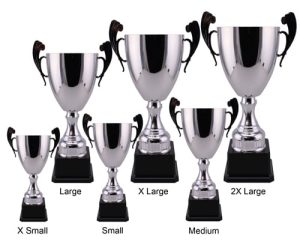 Alternative view of Hermes Cup