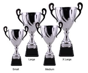 Alternative view of Xander Trophy