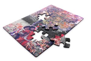Alternative view of Printed Puzzle