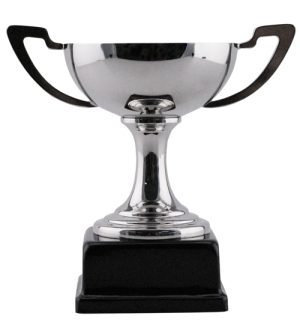 Momentum Mini Cup