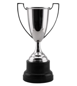 Honour Trophy Cup