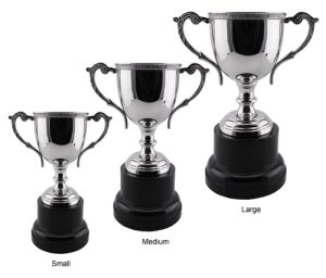 Alternative view of Hana Trophy Cup