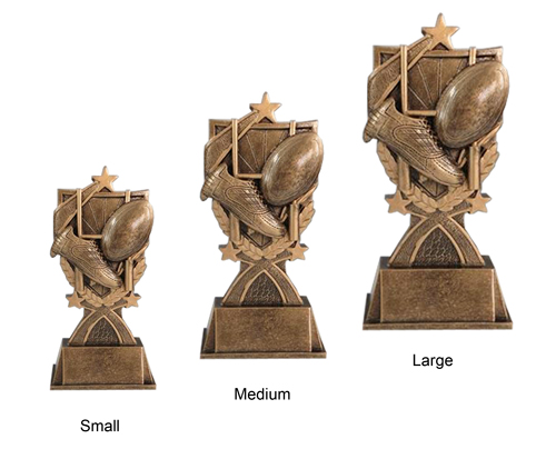 Super Rugby Award - Image 2