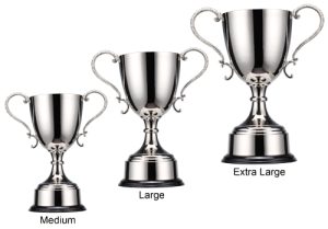 Alternative view of Stanford Trophy Cup