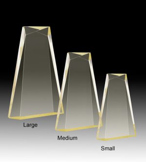 Alternative view of Gold Ultra Award