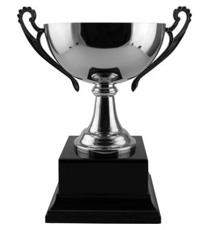 Steel Bowl Trophy Cup