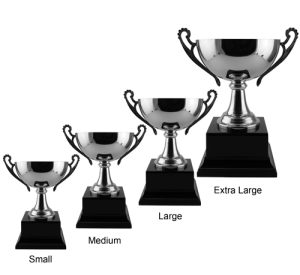 Alternative view of Steel Bowl Trophy Cup