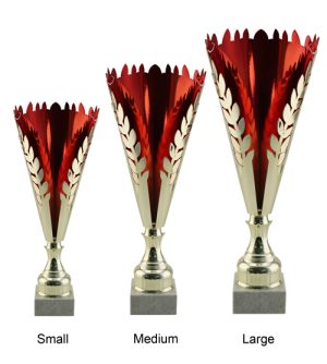 Alternative view of Whero Cup