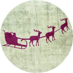 Reindeer 1