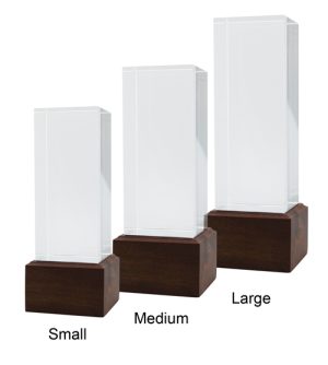 Alternative view of Alexandra Crystal Award