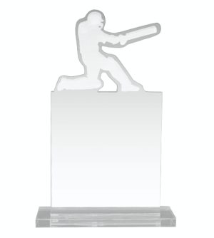 Acrylic Cricket Award